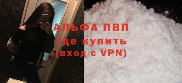 стаф Алексин