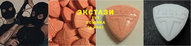 стаф Алексин