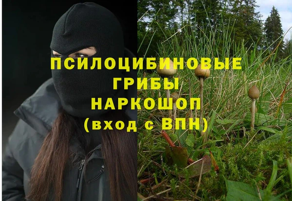 стаф Алексин