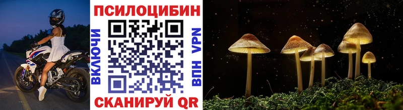 Псилоцибиновые грибы GOLDEN TEACHER  Ермолино 